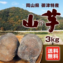 【季節限定】【送料無料】岡山御津特産　　山の芋(秀・3㎏)　