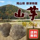 【季節限定】【送料無料】岡山御津特産　　山の芋(秀・2㎏)　