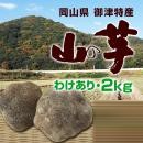 【季節限定】【送料無料】岡山御津特産　　山の芋(わけあり・2kg)